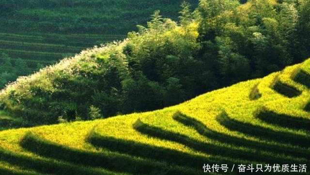  大国|中国有7亿农民，农业生产大国，为啥每年还需要从国外进口