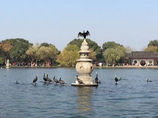 一元钱纸币的图案是三潭印月，为什么要用它，它到底有什么意义？