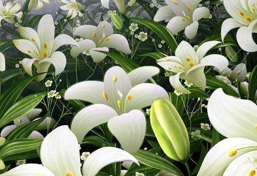  花期一般■庭院5种花卉推荐，种上它们四季有花，开花淡香，满园像世外桃源