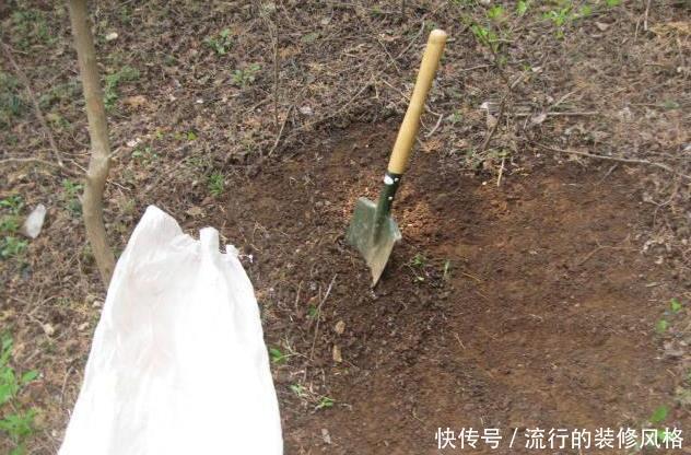  路边：野外这三种“宝贝”都是养花的好材料，路边捡点不花钱，养啥旺啥