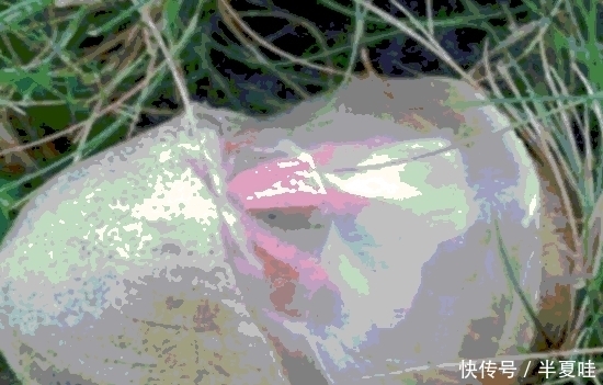 t010d01e887dcaa7ead.jpg
