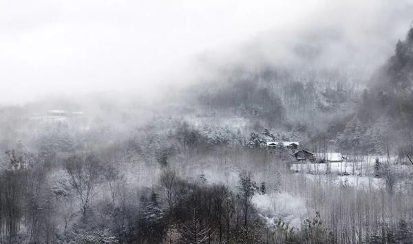 汉中雪景第二波!水墨丹青里的童话世界