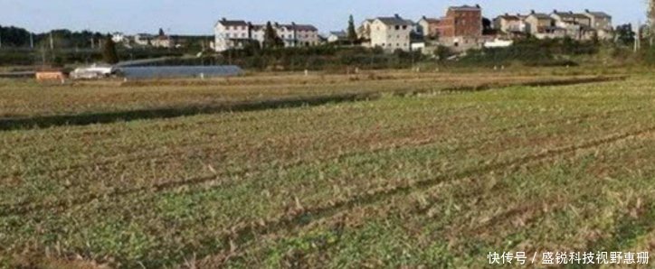  「农民」农村土地自愿永久退出，每亩补偿30万9月一号开始，真的