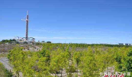 戈壁滩变“绿洲”中国“盐湖”城10余万亩国土将绿化