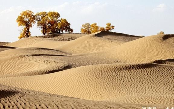 中国最大的沙漠如果变成大森林，会带来什么样的好处和危险呢