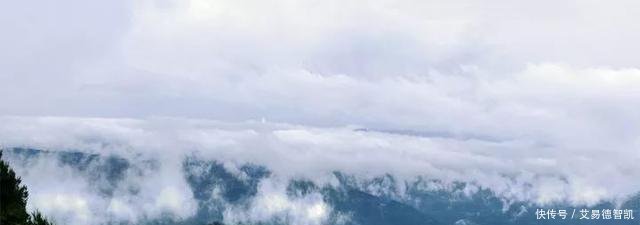 国务院点名! 沙坪坝、江北、涪陵、万州……这20个区都在榜!