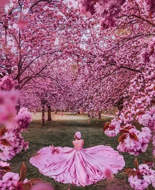 当她穿上裙子,便惊艳了全世界