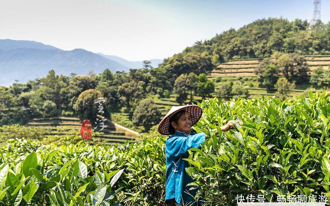 这个国庆长假，来茶叶之乡、六祖惠能故里，感悟茶禅一味