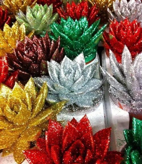  朱顶红：看见这花可别买，忍住，小心被忽悠，花钱买气受！