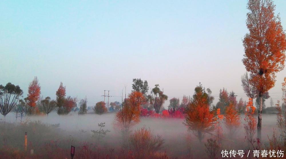 国内“最富裕”的城市,不是上海也不是北京,人均GDP达18万