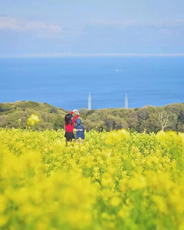 跟拍儿女3年，这位爸爸把孩子拍成了童话……