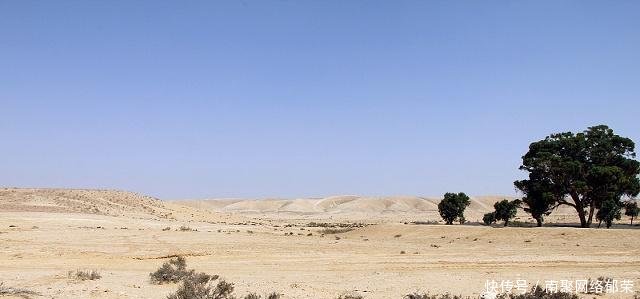 沙漠里长的这种植物, 当地人不敢靠近, 外来人却常把它当成水果!