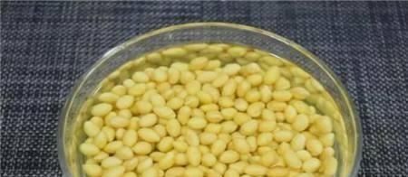  「轻松」老花匠养绿萝，都用这种“水”，7天用一次，叶片蹭蹭长,轻松爆盆