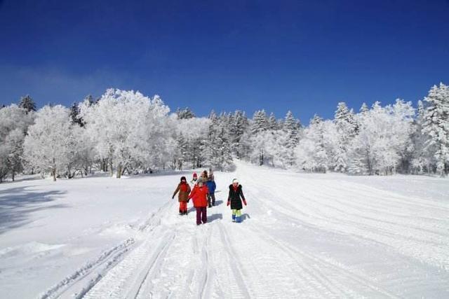 雪乡民宿老板含冤：这不赖我，希望以后能用好的服务换回口碑