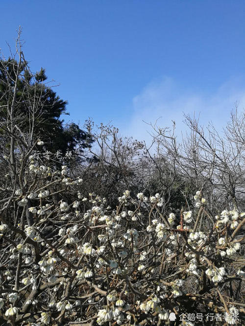 登上海拔1300米的南岳衡山，终于见到了2019年第一缕阳光