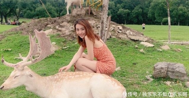 央视主持人大赛小米表演