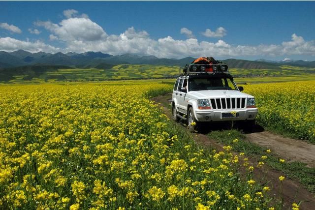 美过婺源！国内最适合全家游自驾赏花地，不收门票，美的鲜为人知