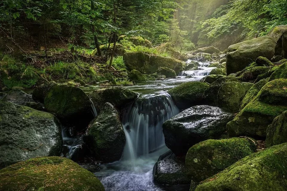 秦岭深处这8大醉美水域,景美人少,好多还免费!【2020热门旅游景点】