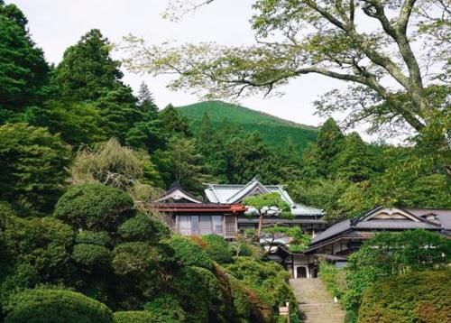 中国人参拜日本神社，留下的祈福牌：内容很奇葩，网友却拍手叫好