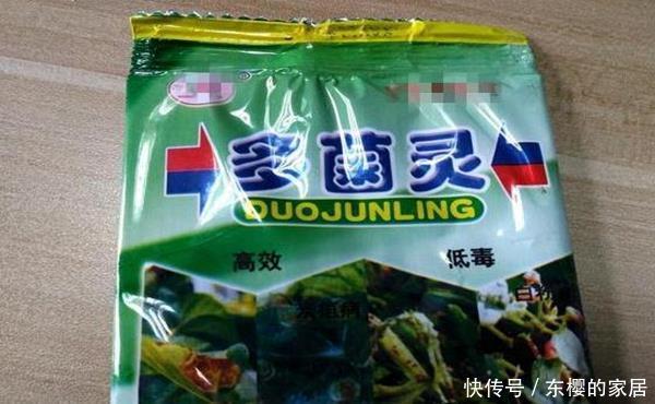 花草@养花先用生根粉,还是先用多菌灵?千万别陷入使用“误区”!