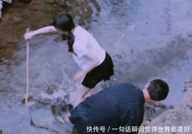 感觉郑爽也不爱张恒