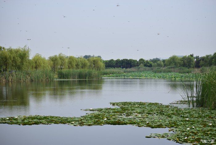 奥迪A6L，宝马X3，奔驰GLB，凯迪拉克CT5，不一样的新感受之九