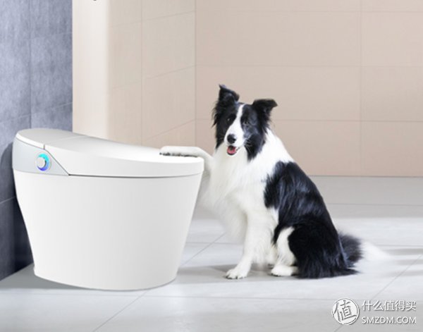 “被瘦身”的马桶，懒人控的生活快速通行证