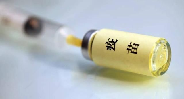 章子怡爆粗口怒斥造假，明星紧随其后站队，网友：团结就是力量！