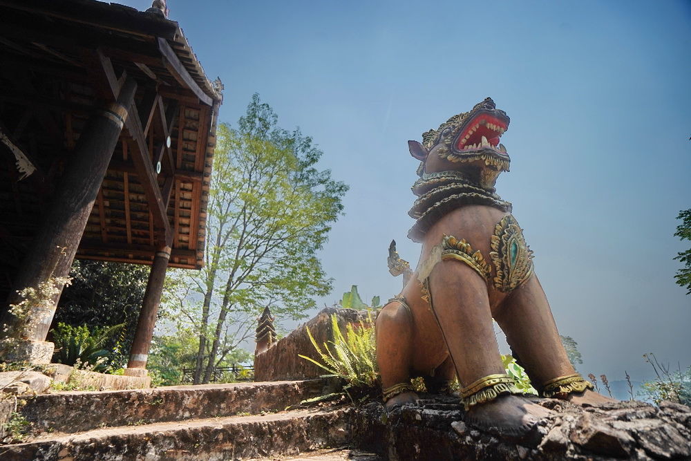 云南一株低调古柏，中国可排前三却少人知道，村民说有茶就足够了