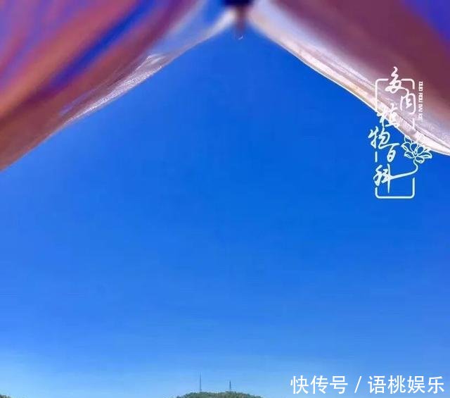  #喜欢#一粥一饭填饱肚子，一屋一花神仙日子！生命不止，玩趣不停！