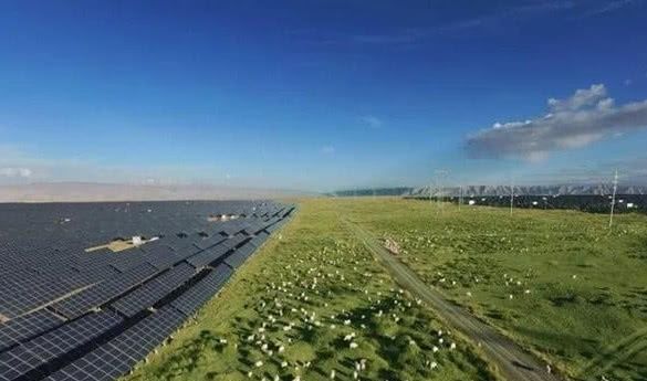 中国人真聪明：在发电站放了几千只羊，世界难题就被解决了！