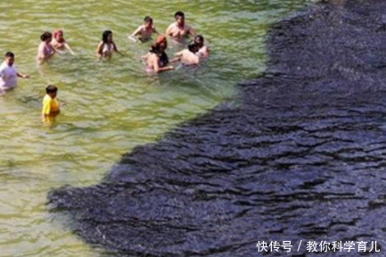 奇闻海水突然变成黑色，游客被吓跑到岸边，看清后兴奋跳入海中