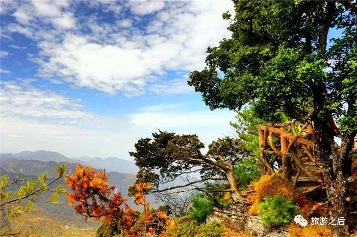 神农架有个小众景点,不仅能观赏云海,还是让人忘记喧嚣的好地方【2020热门旅游景点】