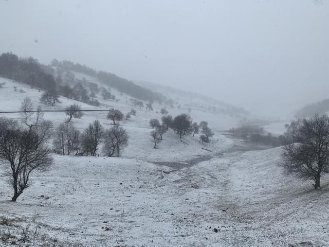  【点点】关山三月飘春雪，点点新绿披银装
