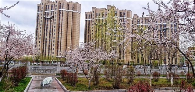  花儿：图集丨?花儿缀满枝头，醉了靖宇山城