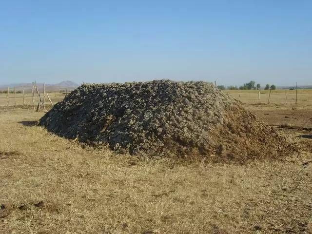 日本人在中国租了1500亩地，闲置5年任荒草疯长，但结果让中国人