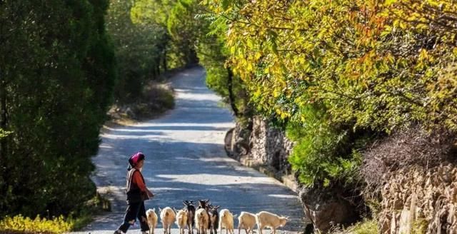 金秋十月遇见最美的风景，中国最美的8处秋季旅行目的地值得一去