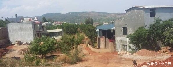  「确权」今年开始, 7类宅基地将不予确权, 6种宅基地被收回, 农