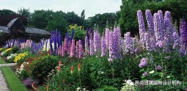 『适合』适合庭院种植的27种常用宿根花卉