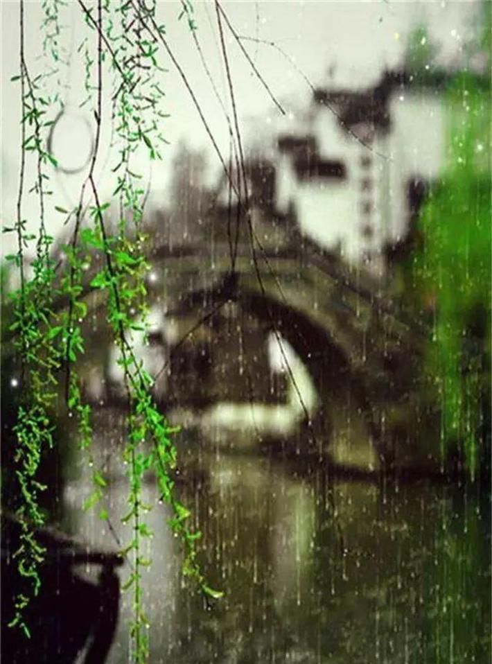『雨点将画面晕染成』一场春雨一场暖,春雨怎么拍才有味这些作品给你灵感