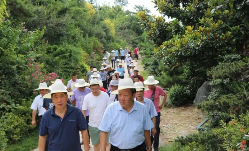 庭院深深，中式庭院 · 怡然自得