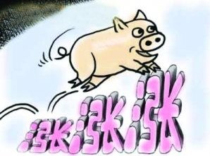  补贴@农民朋友注意了！补贴又给地，国家喊你回家养猪啦！