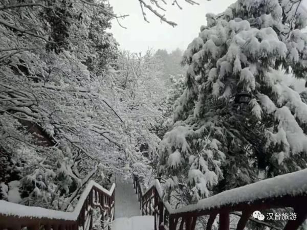 汉中雪景第二波！水墨丹青里的童话世界