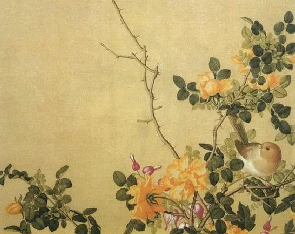  【究竟】被中国70多个城市选为市花的月季，究竟有怎样的魅力？