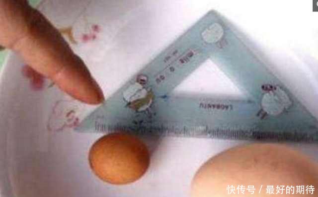 老母亲去鸡窝捡鸡蛋，结果看到其中一窝的鸡蛋后，顿时就傻眼了