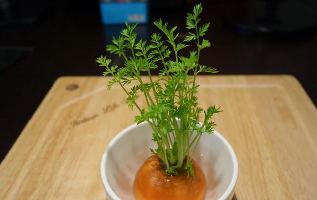 「吃不完」将吃不完的蔬菜头,简单一处理,就可以变成清新自然的盆栽!