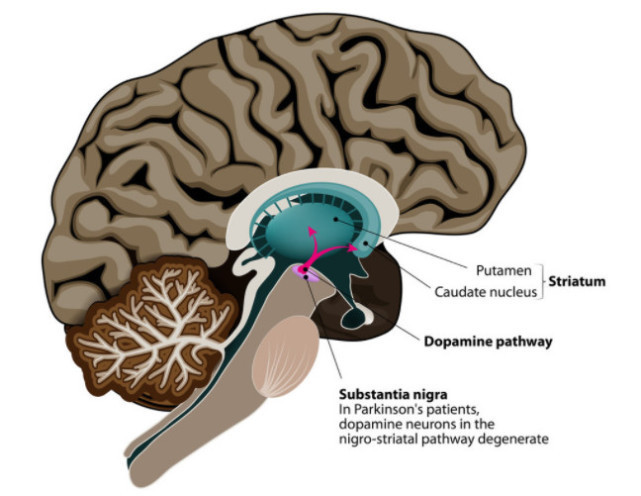 吸烟的3大谣言，你信了几个? 最后一个，只有傻子会相信！