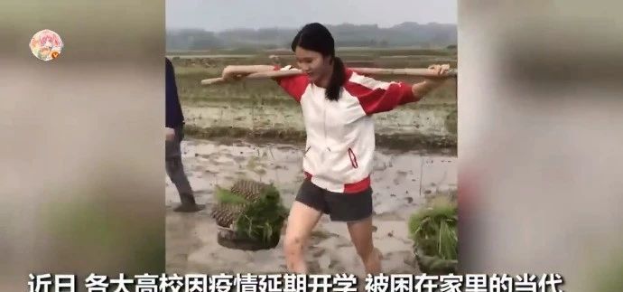 「在家」在家生活了2个月的你,变成了什么样子?