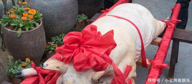 这个景区, 靠杀年猪就能吸引千余人前来吃饭, 场面何其壮观