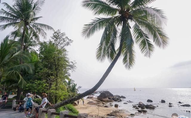 北有雪乡，南有三亚，曾经热门旅游目的地，现如今游客却去不起了
